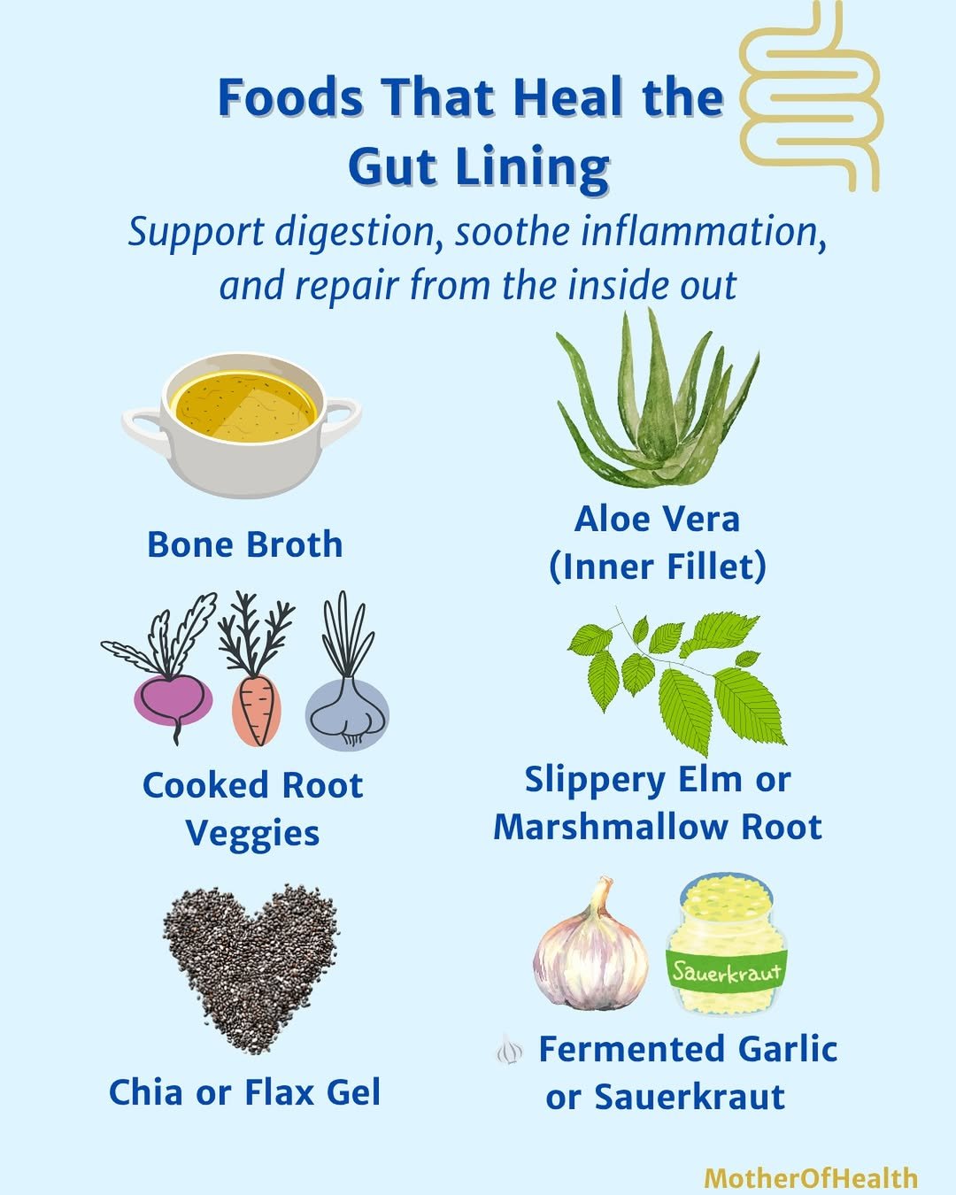How to Use Slipper Elm for Constipation