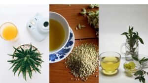 Best Herbs for Constipation Relief