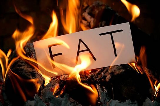 Burn Fat