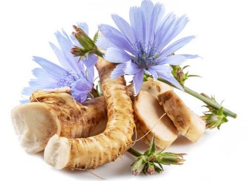 Chicory Root Tea
