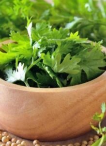 Coriander Water Cleanse