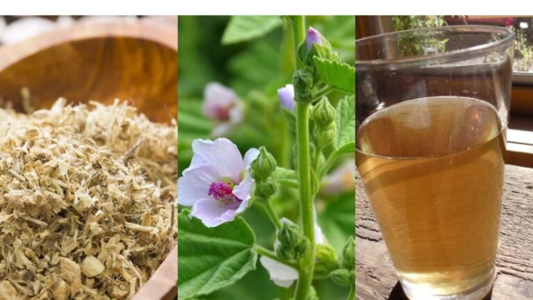 Mallow for Constipation