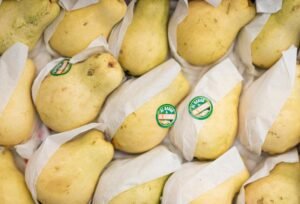 Best Fiber for Constipation