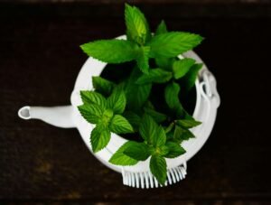 Peppermint Tea for Constipation