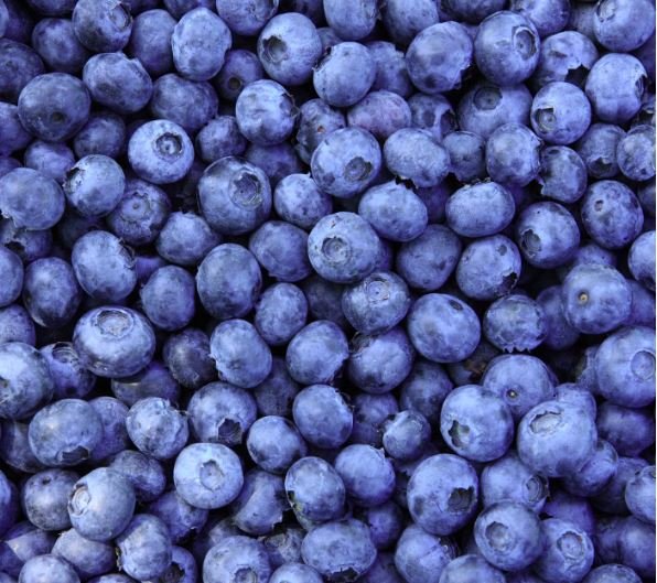 Blueberries for Brain Fog