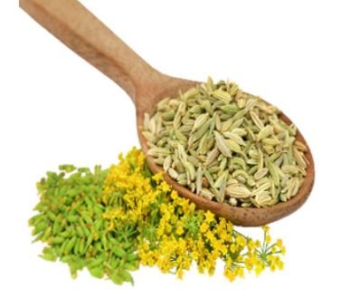Fennel Tea for Constipation and Bloating