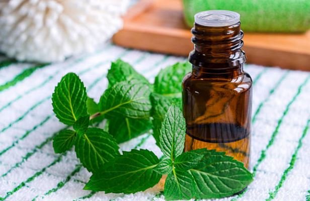 IBS Constipation Relief