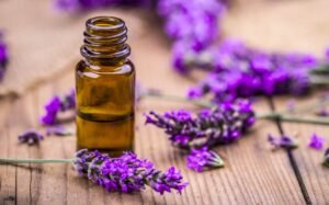 Lavender Oil for Constipation