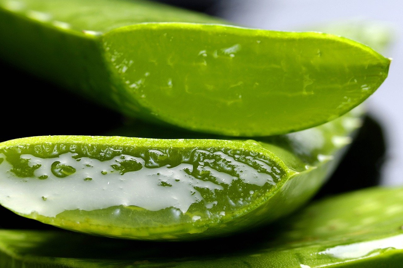 Aloe Vera for Body Odor