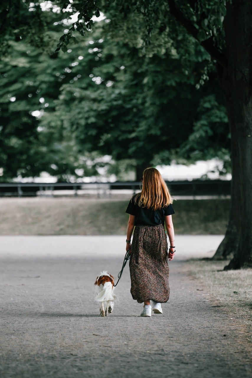 Walking for Constipation Relief