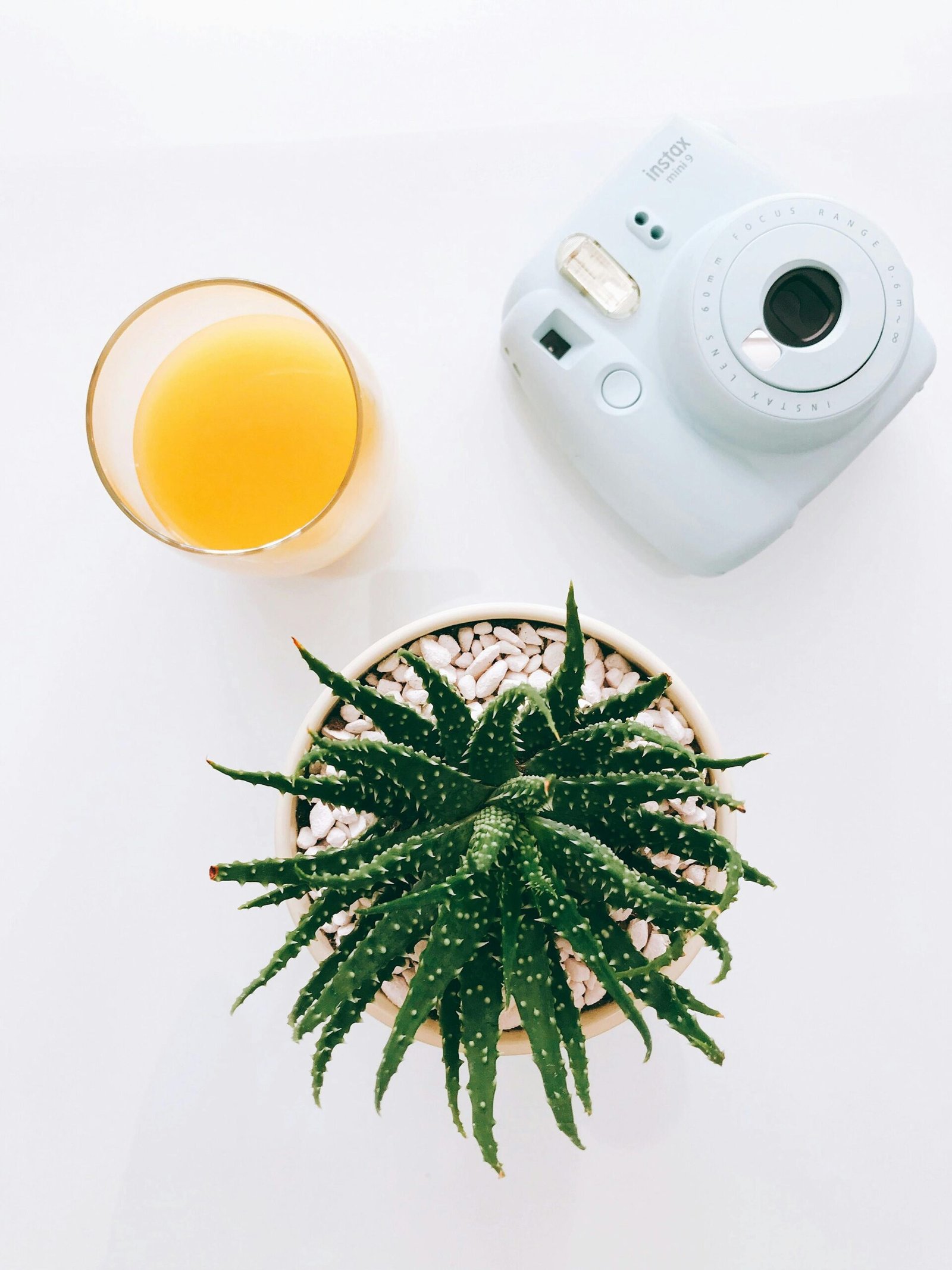 Aloe Vera for Constipation