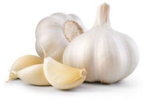 Garlic