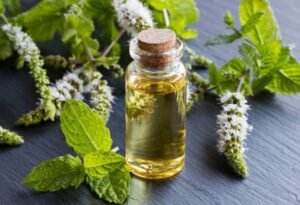 Peppermint Oil for IBS