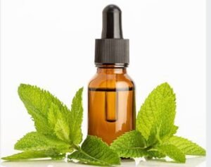 Peppermint Oil for IBS Relief