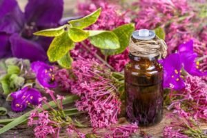 Clary Sage Essential Oil