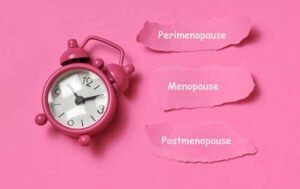 Estrogen Fluctuations