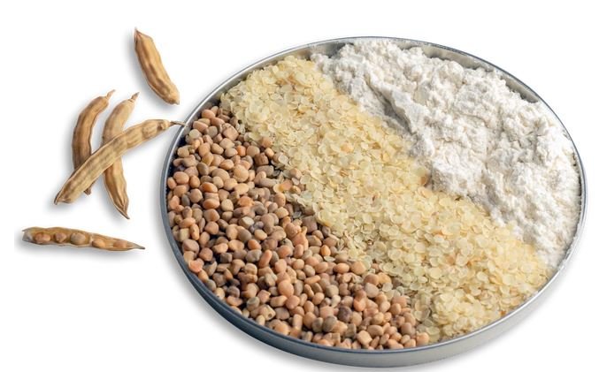 Guar Gum