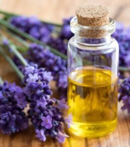 Lavender Oil for IBS