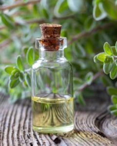 Marjoram Oil