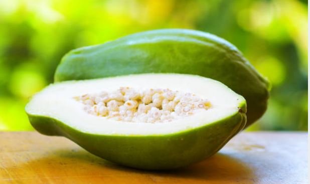 Unripe Papaya