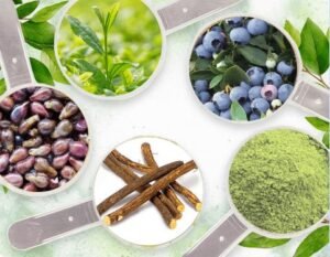 Neuro Serge Ingredients