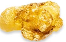 Boswellia Serrata