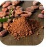 Cocoa Bean Extract