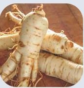 Ginseng