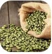 Green Coffee Bean