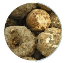 Konjac Extract Fiber