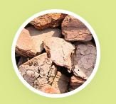 Maritime Pine Bark