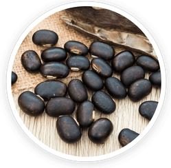 Mucuna Pruriens & Maca Root