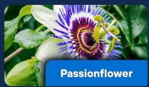 Passionflower