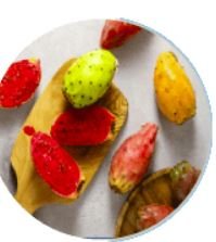 Prickly Pear Extract