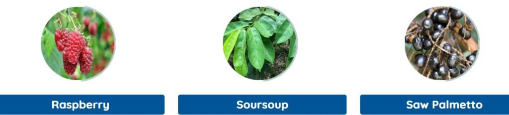 Prosta Peak Ingredient