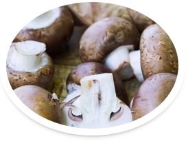 Royal Agaricus