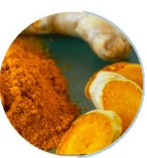Turmeric Extract 