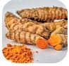 Turmeric Rhizome