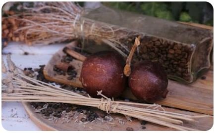 Whole Coffee Fruit Extract