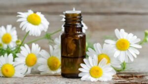 Chamomile Essential Oil