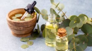 Eucalyptus Essential Oil