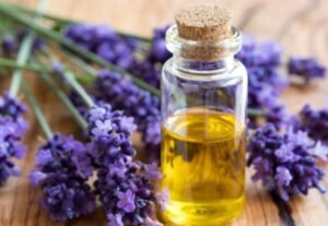 Lavender Essential Oil
