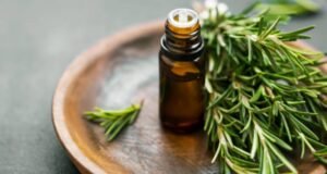 Rosemary Essential Oil